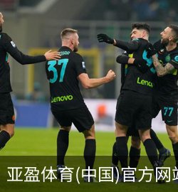 亚盈体育案例