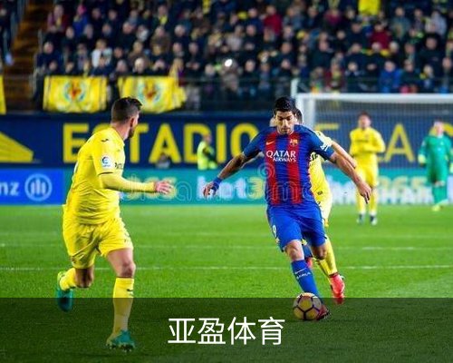 亚盈体育(中国)官方网站 - YAYING SPORTS体育的故事 